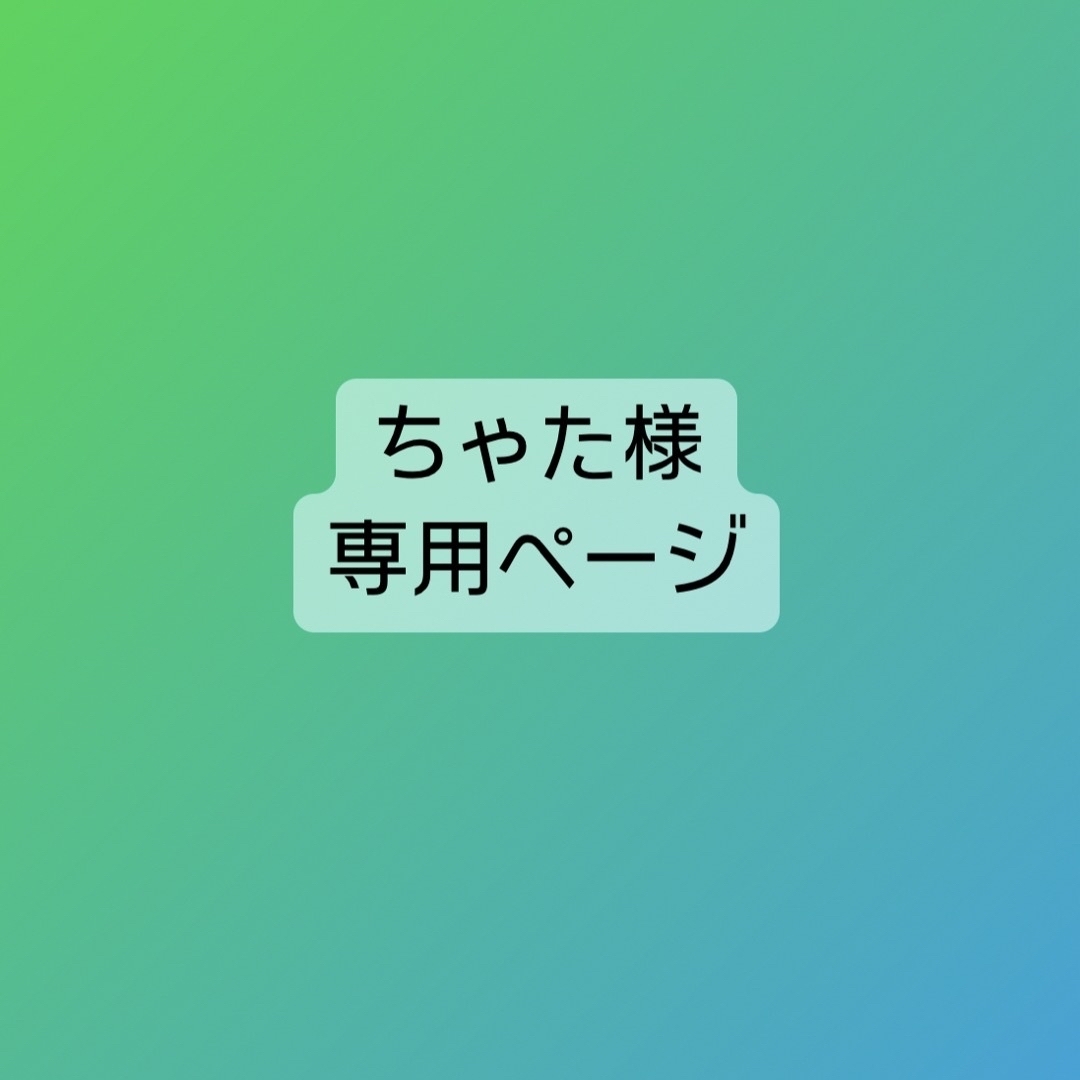 【ちゃた様 専用】にゃんこ2点 キッズ/ベビー/マタニティの外出/移動用品(その他)の商品写真