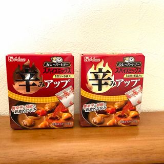 ハウス食品 - 《2箱》カレーパートナー　スパイスミックス　辛みアップ