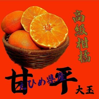 高級柑橘をお手頃に提供！【甘平🍊 大玉】　3Kg(フルーツ)