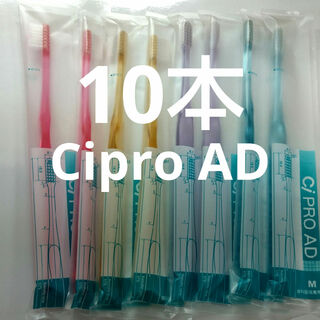 10本CiPRO AD歯ブラシ　 フラット毛ふつう（やわらかめ在庫少）(歯ブラシ/デンタルフロス)