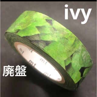 エムティー(mt)のmt 廃盤マスキングテープ　CASA柄　ivy アイビー(テープ/マスキングテープ)