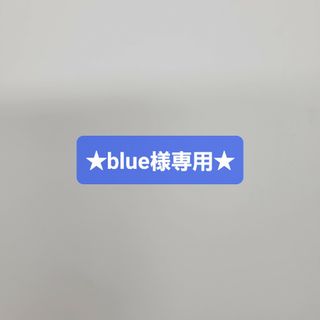 ★blue様専用★(その他)