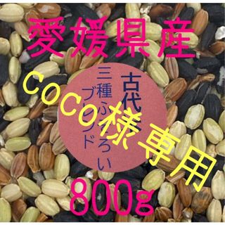 coco様専用　古代米3種ふぞろいブレンド　愛媛県産　800ｇ(米/穀物)