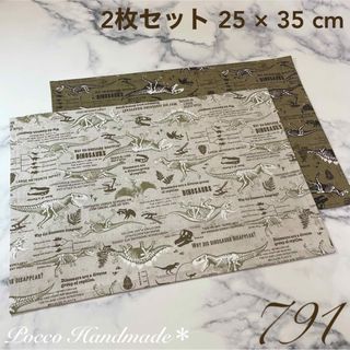 ランチョンマット 2枚セット【791】 25×35 給食ナフキン 保育園 恐竜(外出用品)