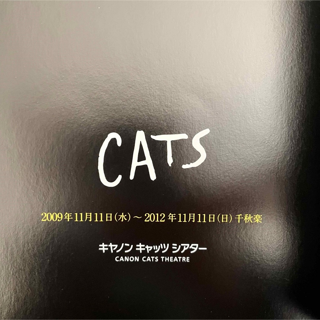 CATS オフィシャルブック 2009-2012 横浜 エンタメ/ホビーの本(その他)の商品写真