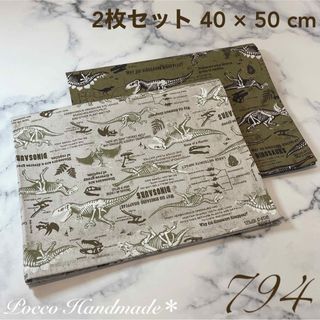 給食ナフキン 2枚セット【794】 40×50 ランチマット 入学グッズ 恐竜柄(外出用品)