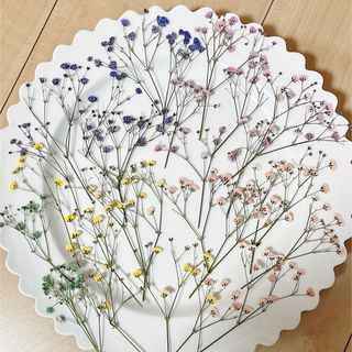 かすみ草 押し花(各種パーツ)