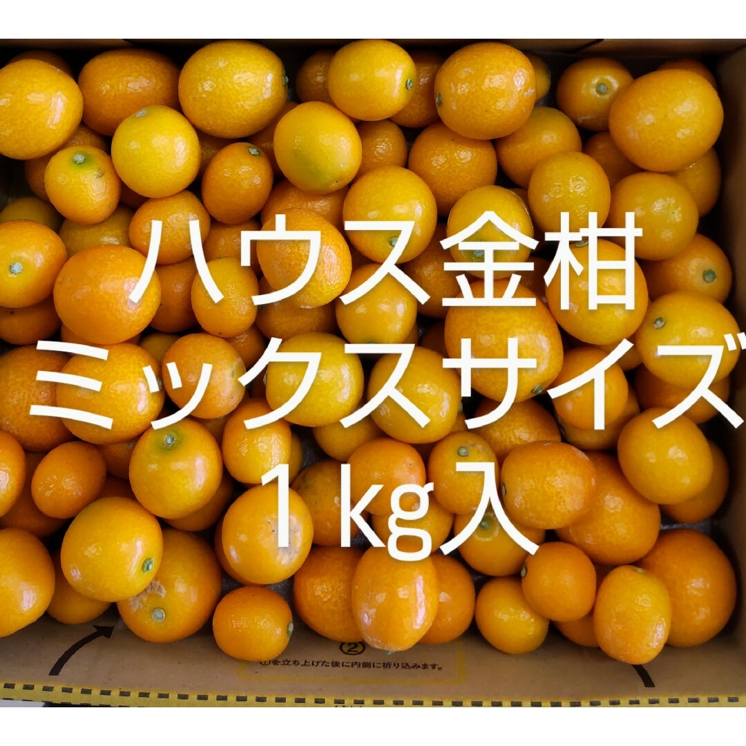 ハウス金柑　ミックスサイズ　きんかん　宮崎県産　１㎏入　宅急便コンパクト 食品/飲料/酒の食品(フルーツ)の商品写真