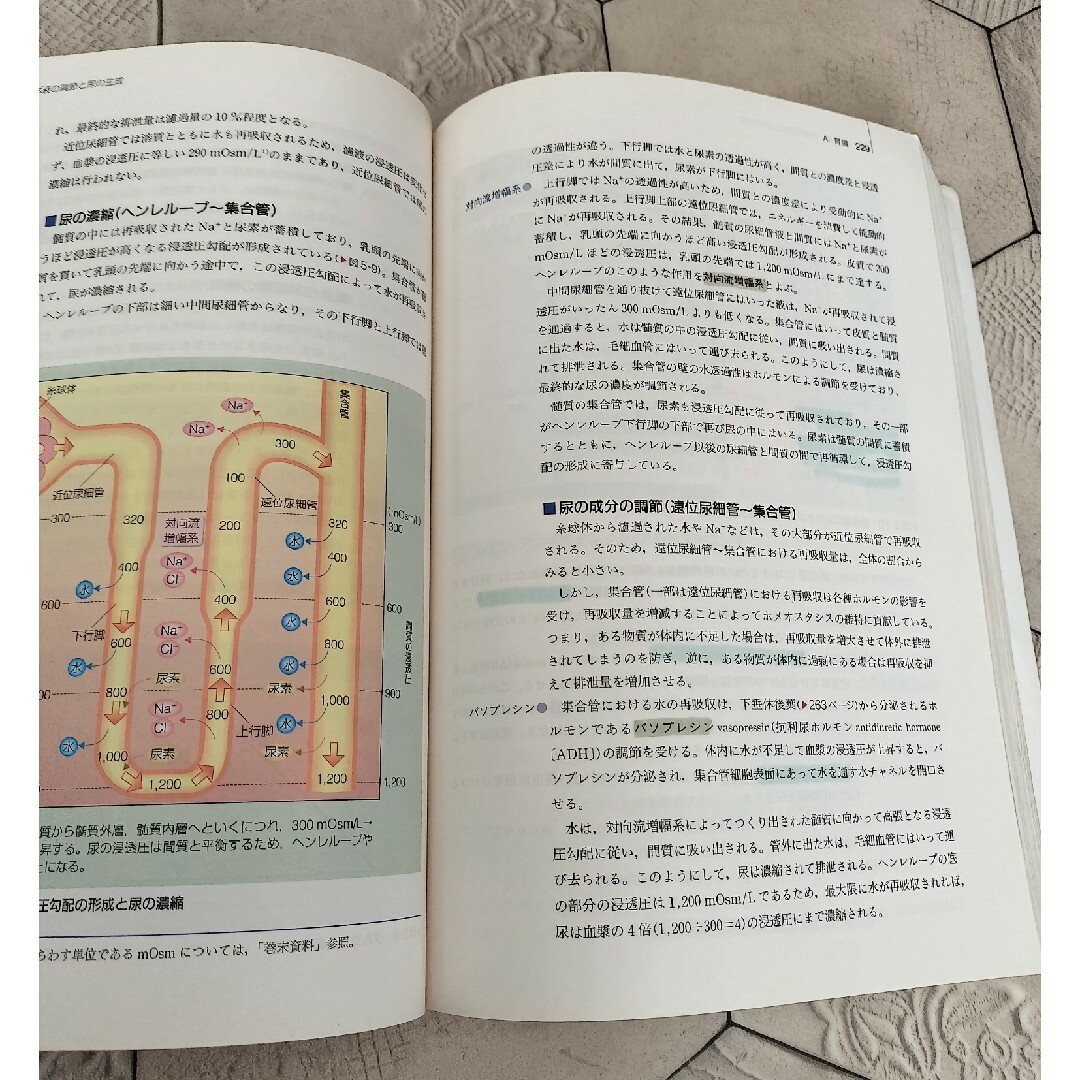 系統看護学講座 解剖生理学の通販 by うさこ's shop｜ラクマ
