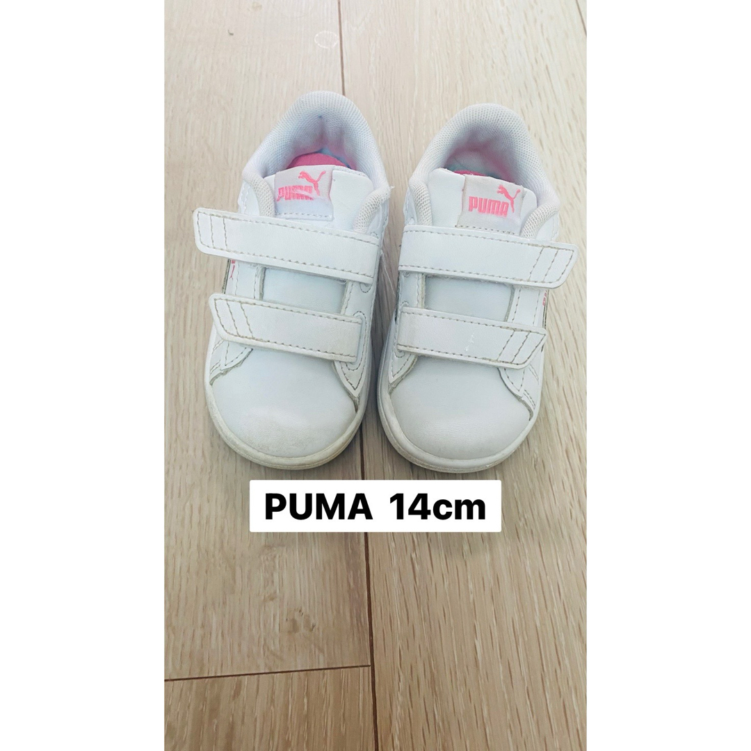 PUMA - PUMA 14センチ キッズ スニーカーの通販 by こんぶs shop