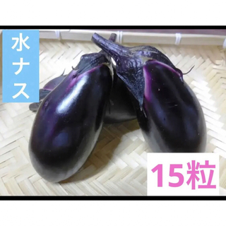 昭和からの味 水ナス 茄子 15粒 人気 ジューシーなす(野菜)