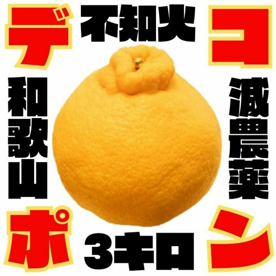 デコポン(不知火) 訳あり 3kg 和歌山 甘くておいしい 食べ応え 旬 みかん 食品/飲料/酒の食品(フルーツ)の商品写真