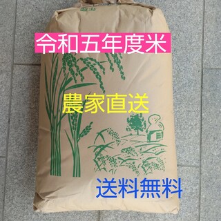愛媛県産お米ヒノヒカリ３０㎏(米/穀物)