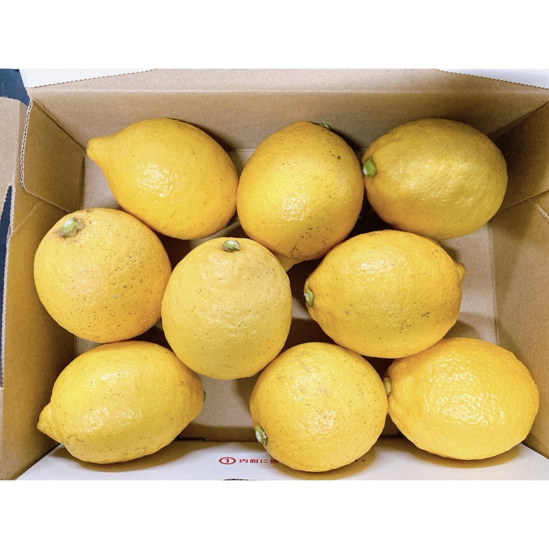 早い者勝ち 無農薬 レモンF 瀬戸内産 食品/飲料/酒の食品(フルーツ)の商品写真