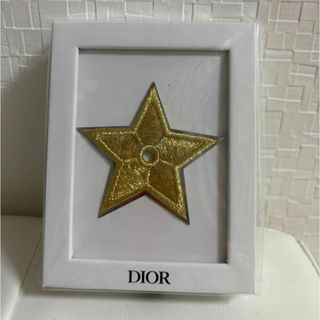 クリスチャンディオール(Christian Dior)のDIOR STAR PIN(その他)