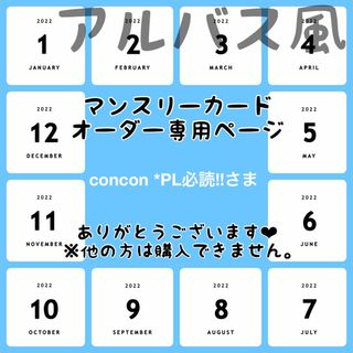 【concon *PL必読!!さま専用ページ】マンスリーカード【アルバス風】(アルバム)