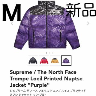 シュプリーム(Supreme)のThe North Face Trompe Loeil Printed (ダウンジャケット)