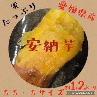 さつまいも　安納芋　愛媛県産　SS・Sサイズ　約1.2kg