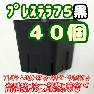 【スリット鉢】プレステラ75黒40個 多肉植物 プラ鉢(プランター)