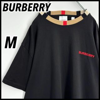 BURBERRY - 【入手困難】バーバリー クルーネック ロゴ刺繍 JAYSON T ...