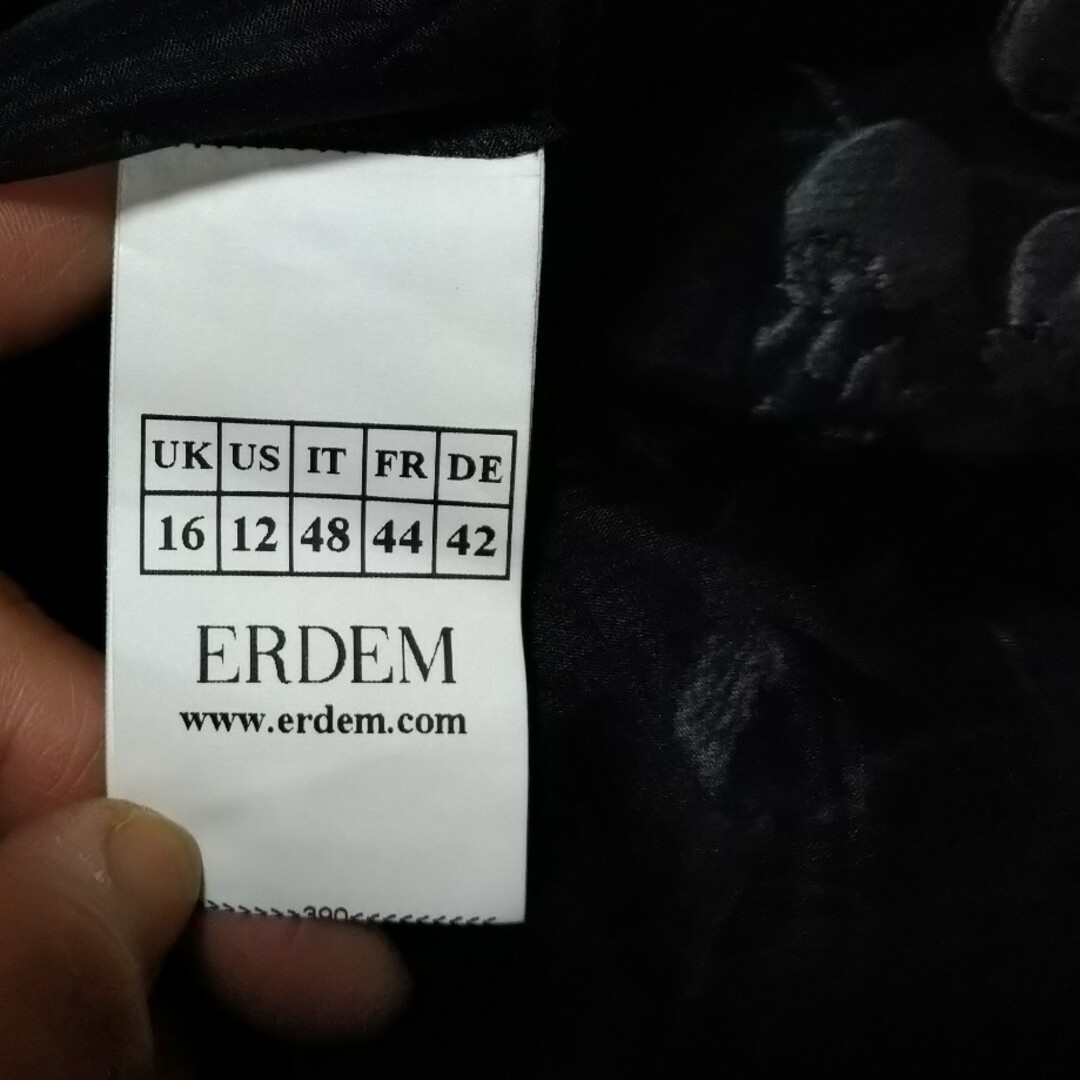 Erdem(アーデム)のＥＲＤＥＭ  シルクドレス  ワンピース  １５号　大きいサイズ レディースのワンピース(ロングワンピース/マキシワンピース)の商品写真