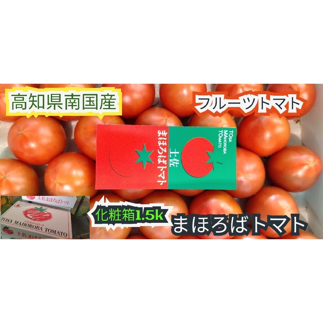 ★高知県南国産　まほろばトマト　約1.5k 化粧箱　　フルーツトマト 食品/飲料/酒の食品(野菜)の商品写真