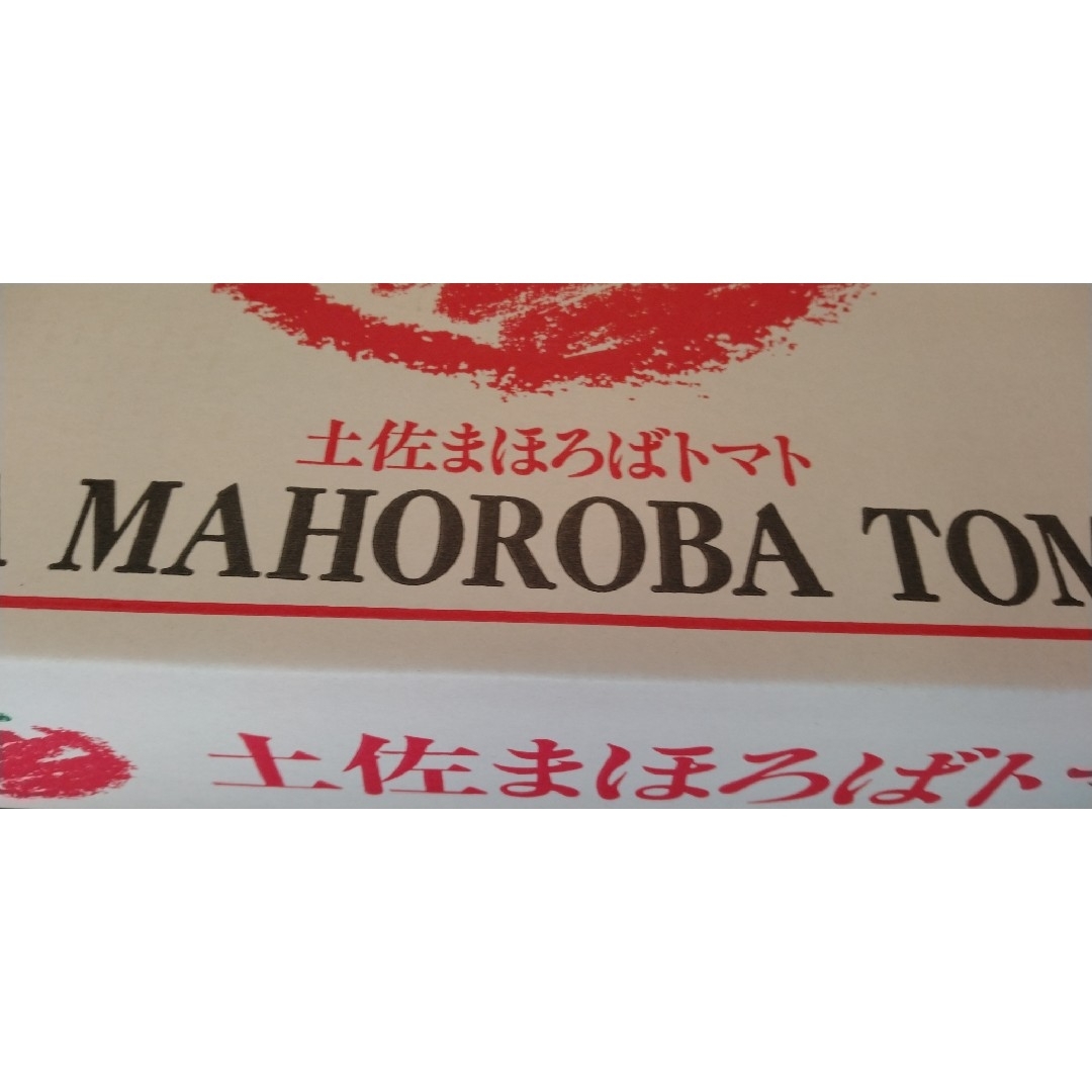 ★高知県南国産　まほろばトマト　約1.5k 化粧箱　　フルーツトマト 食品/飲料/酒の食品(野菜)の商品写真