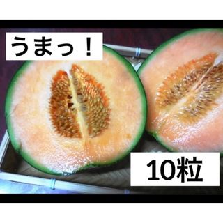 うまっ！メロン 赤肉系 ネットメロン 10粒 マスクメロン◆トライ 家庭菜園(フルーツ)