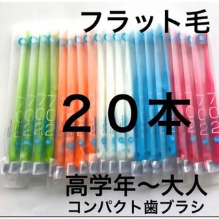 歯科専用　コンパクト歯ブラシ　フラット毛　 Ci702  ふつう　２０本(歯ブラシ/デンタルフロス)