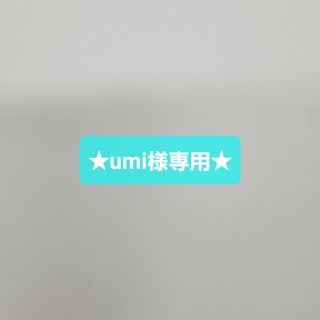 ★umi様専用★(その他)