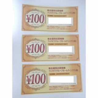 ブックオフ株主優待券300円分　(ショッピング)