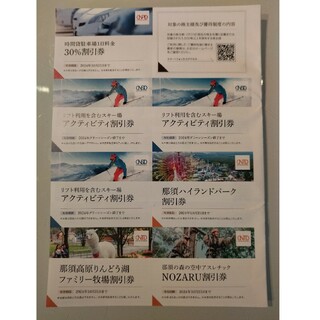 日本駐車場開発　株主優待券　リフト券(スキー場)