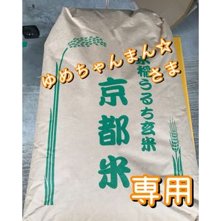 令和五年度産 コシヒカリ 三升(4.5キロ)(米/穀物)