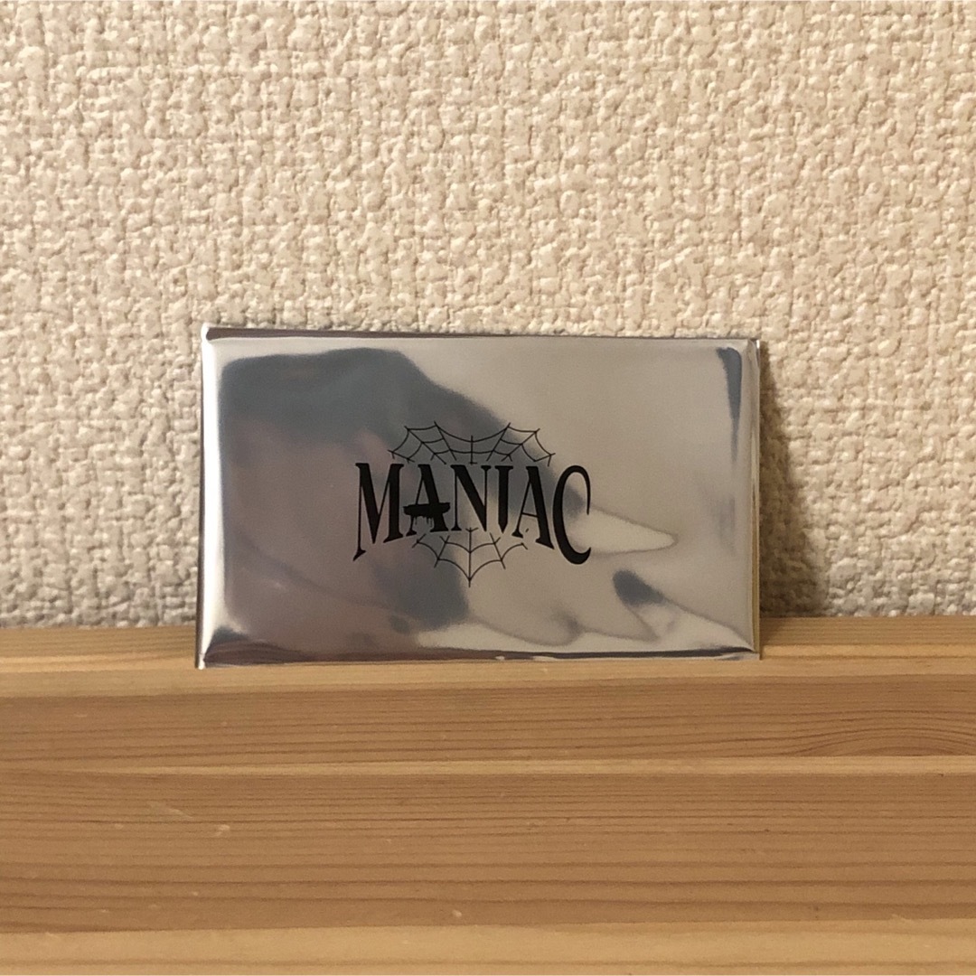 スキズ 2nd World Tour "MANIAC" 特典カード エンタメ/ホビーのタレントグッズ(アイドルグッズ)の商品写真