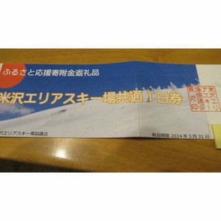 天元台高原スキー場 1日券(24年3月31日迄)(ウィンタースポーツ)