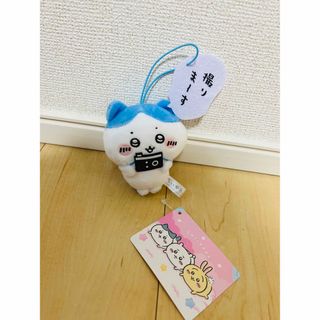 新品未使用】キャッチ!ティニピン コンパクト ハチュピン ティーニー