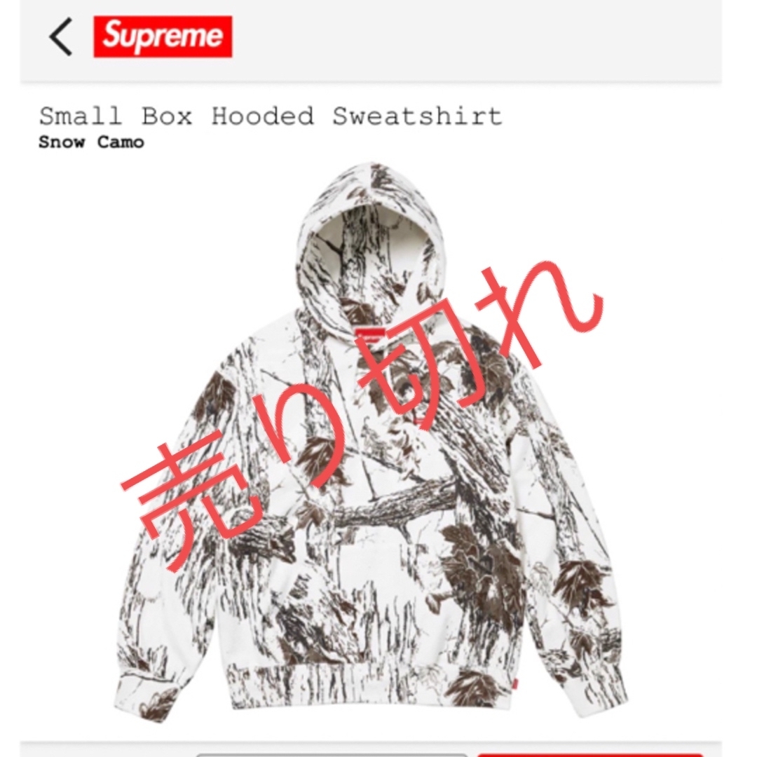 Supreme(シュプリーム)の‼️Supreme Small Box Hooded Sweatshirt ‼️ メンズのトップス(パーカー)の商品写真