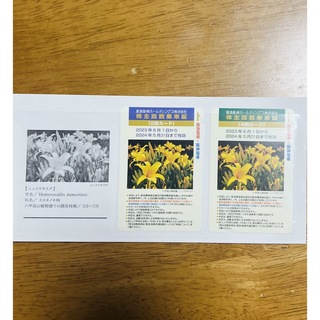 阪神阪神ホールディングス株主回数乗車証　４回カードと２回カード(その他)