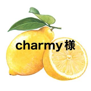 charmy様•*¨*•.¸♬︎(その他)