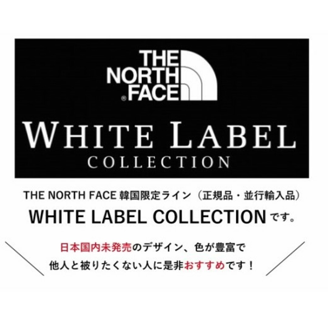 THE NORTH FACE(ザノースフェイス)の【日本未使用】VILAN EX JACKET　マウンテンパーカー　L メンズのジャケット/アウター(マウンテンパーカー)の商品写真