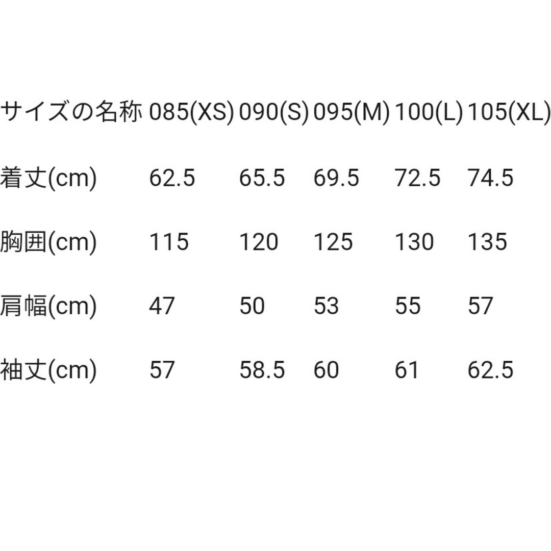 THE NORTH FACE(ザノースフェイス)の【日本未使用】VILAN EX JACKET　マウンテンパーカー　L メンズのジャケット/アウター(マウンテンパーカー)の商品写真