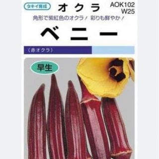 珍しく 赤オクラ ベニー 野菜種 10粒(野菜)