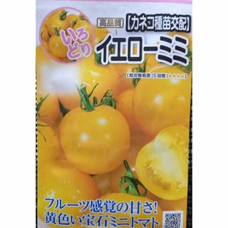 未開封＜野菜の種＞黄色いミニトマト　イエローミミ　２０粒　いろどり野菜(プランター)