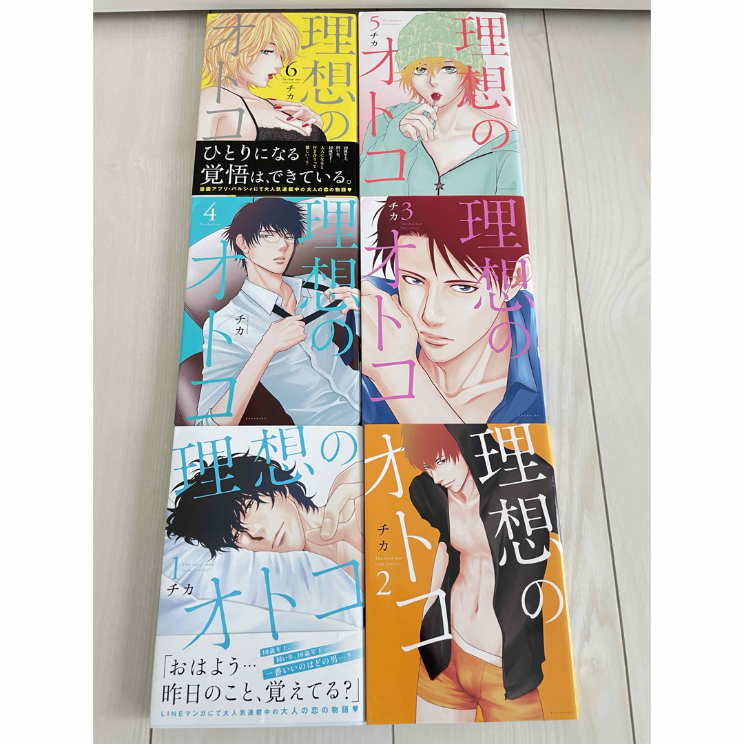 理想のオトコ チカ 6巻セット② 表紙クリーニング済み　2冊5巻6巻 2個口発送 エンタメ/ホビーの漫画(女性漫画)の商品写真