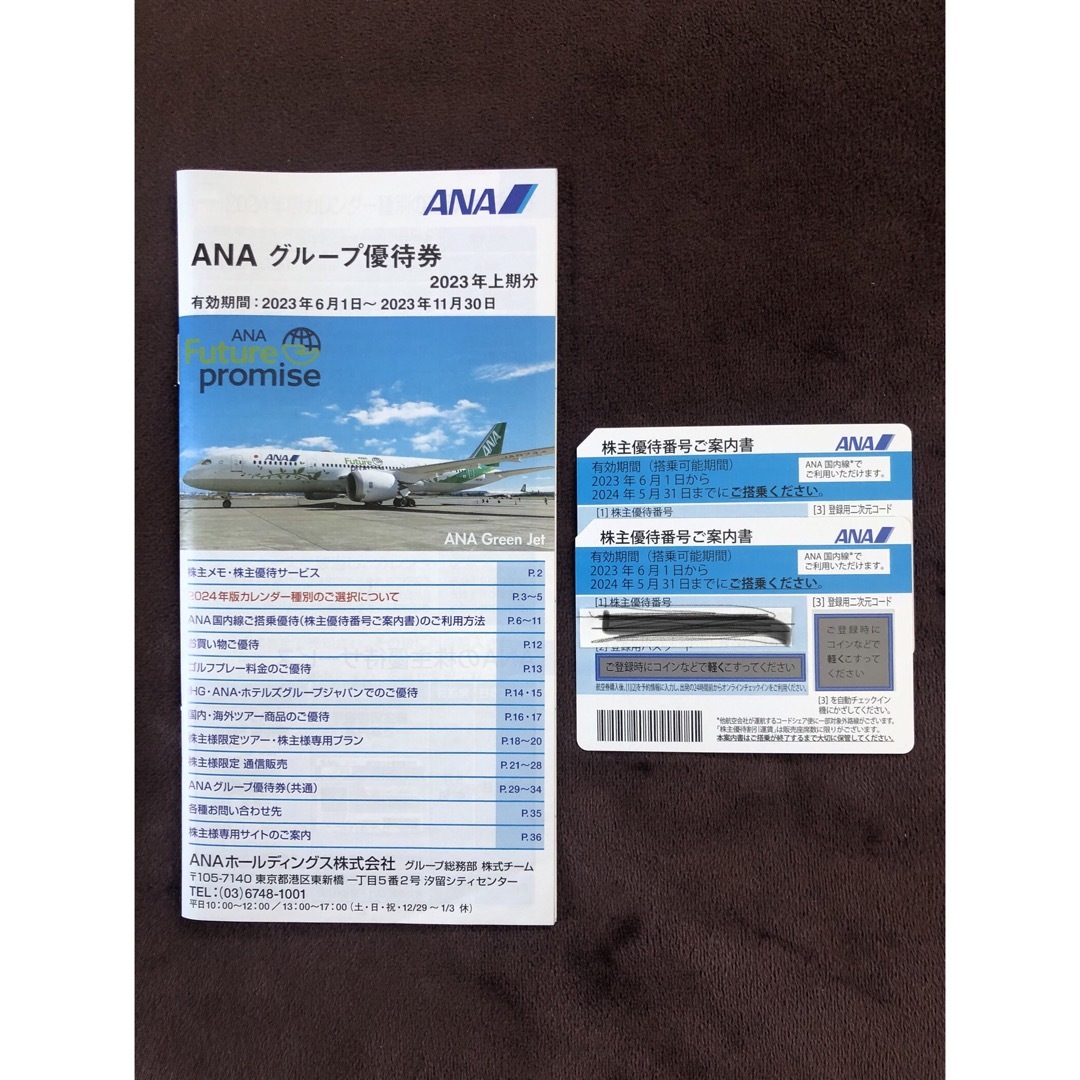 ANA(全日本空輸)(エーエヌエー(ゼンニッポンクウユ))のANA搭乗券　2枚 チケットの優待券/割引券(その他)の商品写真