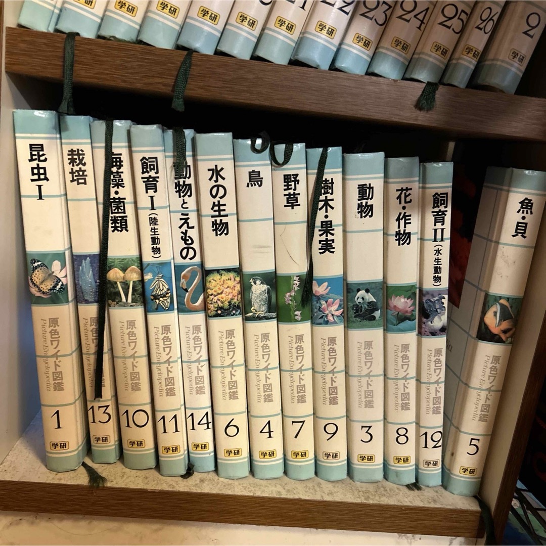 辞典　26冊 エンタメ/ホビーの本(語学/参考書)の商品写真