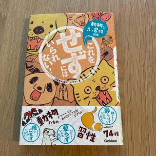 これをせずにはいられない！(絵本/児童書)