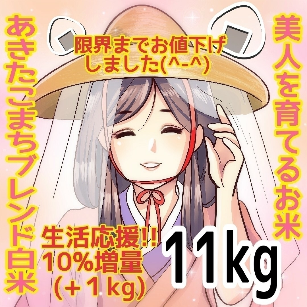 ★生活応援１０％(１kg)増量★あきたこまちブレンド白米（１１kg）送料込み★ 食品/飲料/酒の食品(米/穀物)の商品写真