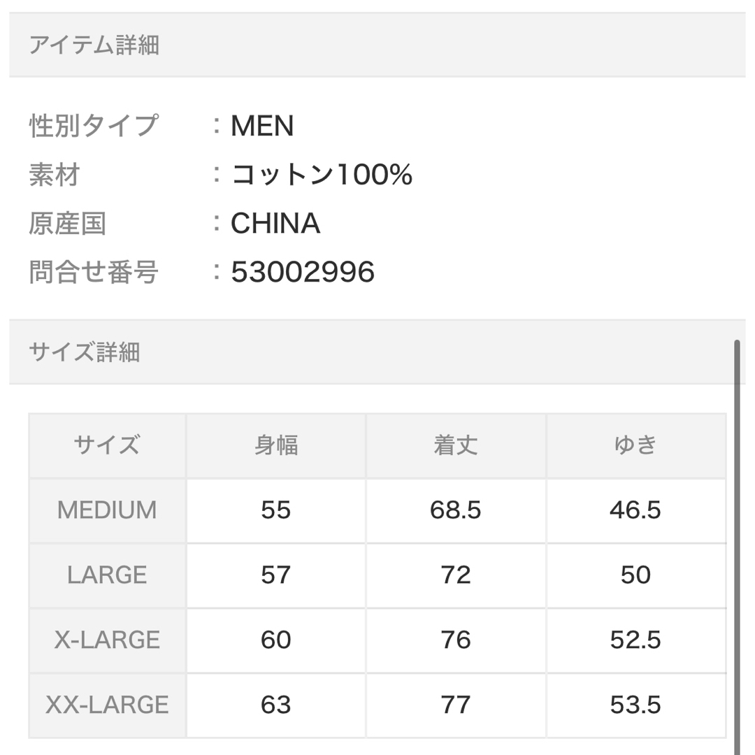 AVIREX(アヴィレックス)のAVIREX 新品　ビッグロゴ　ルーズフィット　M メンズのトップス(Tシャツ/カットソー(半袖/袖なし))の商品写真