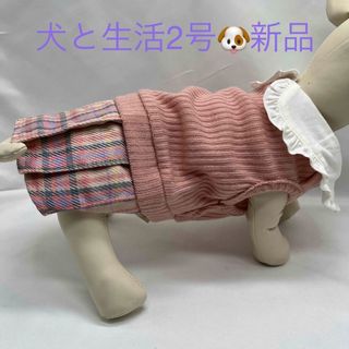 🐶 犬と生活2号サイズ キャンディワンピース ピンク 新品(犬)